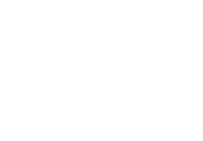 Logo-ul Media Show Grup, companie specializată în producție foto-video și echipamente scenice