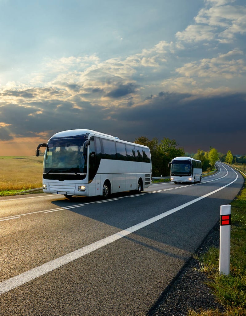 Opțiuni de transport Tur-Retur pentru participanții la festival